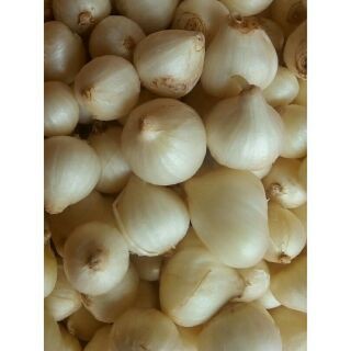 1kg  CỦ NÉN/ CỦ NÉM/ HÀNH TĂM ĐÀ NẴNG HÀNG ĐẢM BẢO CHẤT LƯỢNG