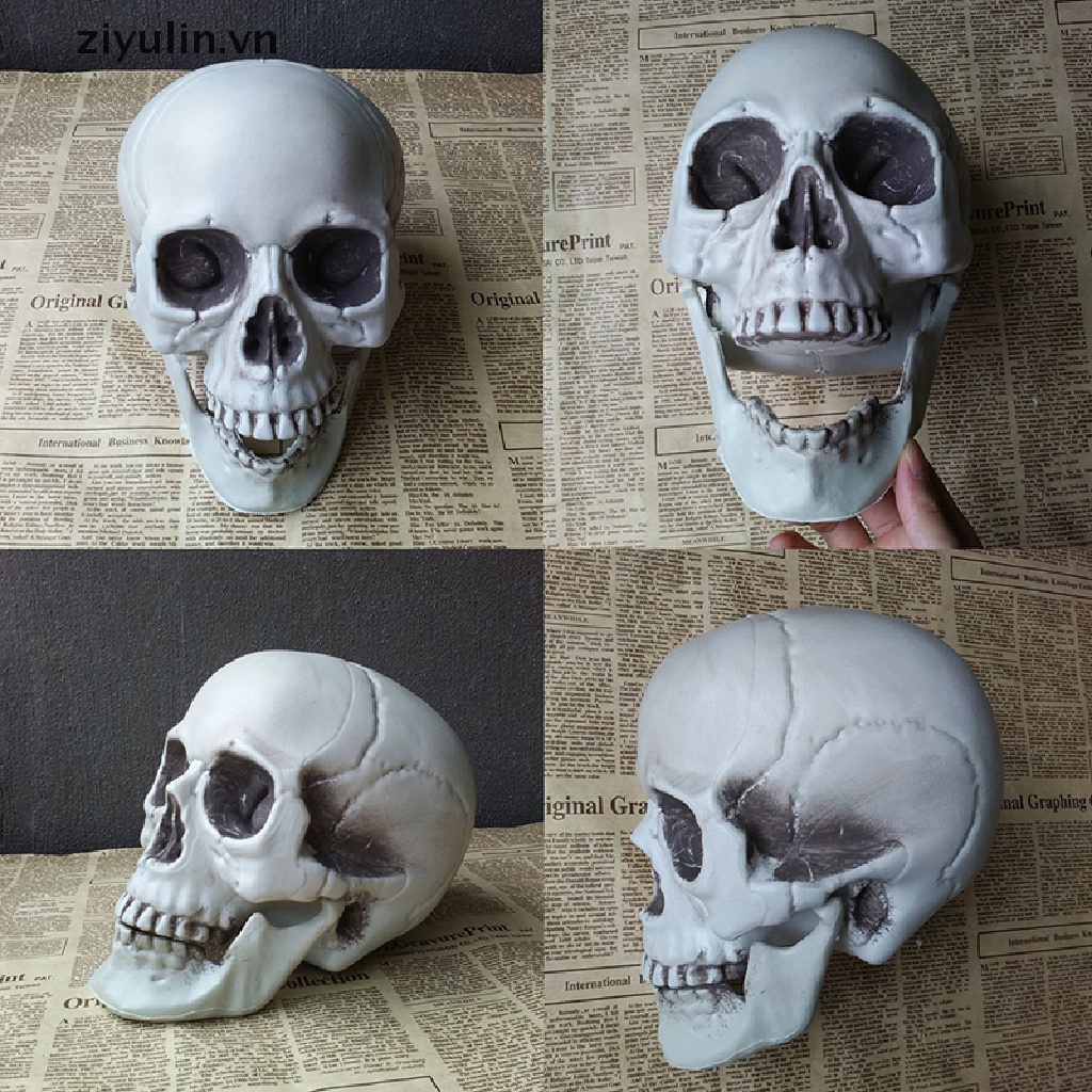 Đồ trang trí Đầu Lâu Kinh Dị Xương Sọ ziyulin Trang Trí Halloween
