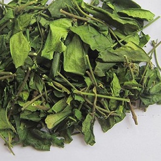 Dây thìa canh lá to ổn định đường huyết