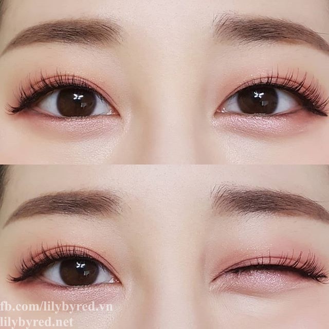 Mascara chống trôi LILYBYRED am9 to pm9 SURVIVAL COLORCARA