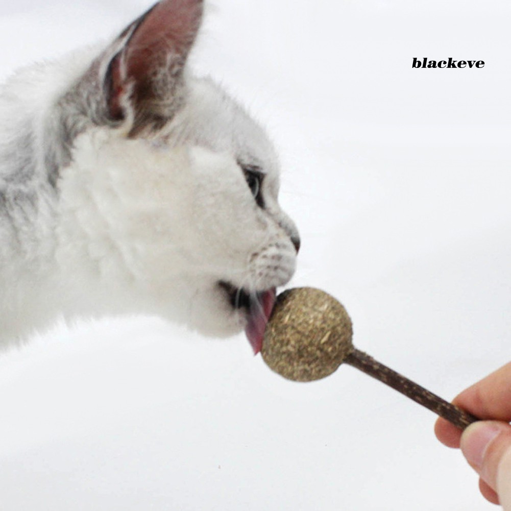 Que Bạc Hà Khô Hình Kẹo Mút Làm Sạch Răng Cho Mèo