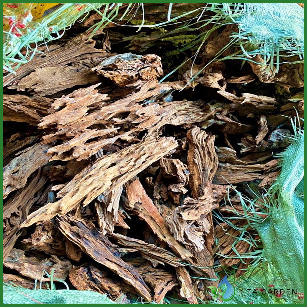 Lũa Săn Đá | Lũa San Đá Miếng | Chuyên dùng cho bể cá Thủy Sinh - Vân Lũa Cực Đẹp, Set bể Cực Đã