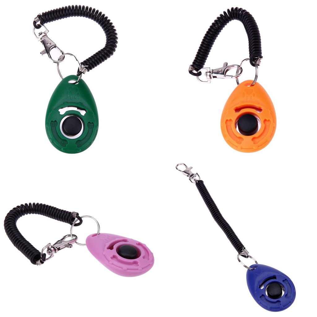 Dụng Cụ Huấn Luyện Thú Cưng Hình Oval Tiện Lợi