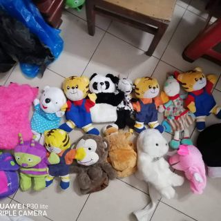 Sét gấu bông 250/800