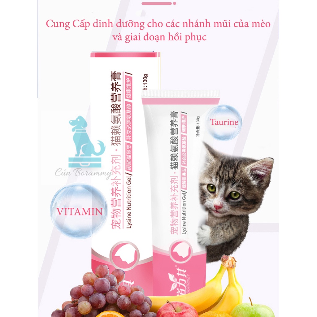 Lysine dạng gel tiện lợi kích thích ăn uống cho mèo - Kem dinh dưỡng phòng hô hấp trị chảy nước mắt cho mèo