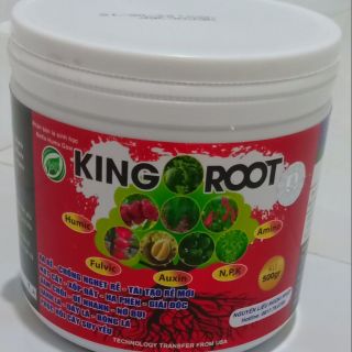 Chuyên kích thích ra rễ king root