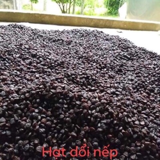 1kg hạt dổi nếp chuẩn sịn