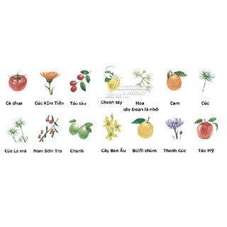 Sữa rửa mặt thảo dược Bontanical của Nhật