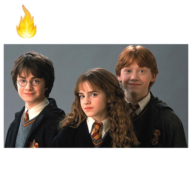 Bộ tranh đính đá tự làm hình Harry Potter trang trí nhà cửa