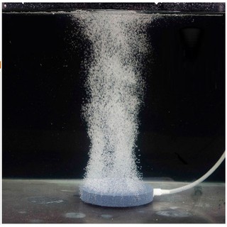 Đầu sủi đĩa tròn mịn cho máy sủi oxi