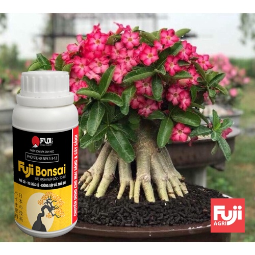 Phân bón mai vàng to gốc FUJI BONSAI -  TO GỐC - NỞ CỦ - LỚN RỄ 250ml