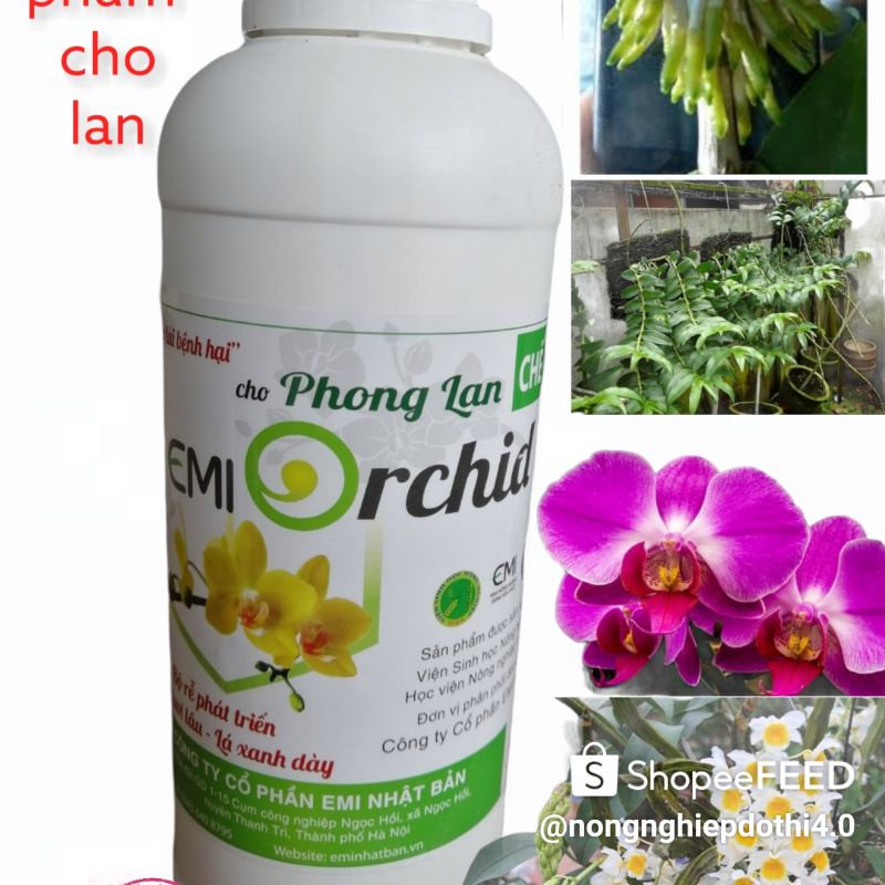 Chế phẩm sinh học cao cấp cho hoa phong lan -EMI ORCHID- Bộ rễ phát triển, lá xanh dầy, hoa tươi lâu, ít bệnh chai 1 lít