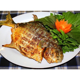 "giao hỏa tốc"- Cá chim