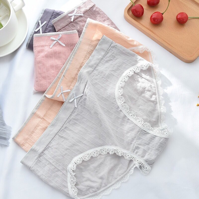 Hộp 5 Quần Lót Nữ Cotton Thiên Nga Xuất Nhật Kháng Khuẩn Cao Cấp