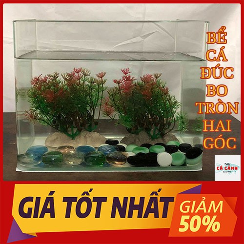 Bể Cá Cảnh Đúc Mini Bể (  26cm x 15cm x 18cm) Bo Tròn Hai Góc Cao Để Bàn Cao Cấp