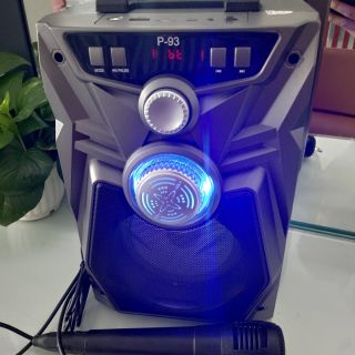 [Mã ELHACE giảm 4% đơn 300K] Loa karaoke bluetooth p91,p93 cao cấp ( full phụ kiện )
