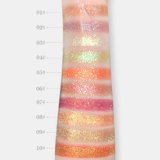 NOVO Monochrome High Flash 10 Color Eyeshadow【F】