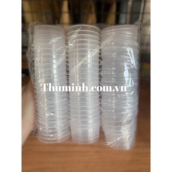 Lốc 50 Khuôn Nhựa Đổ Bánh Plan Kèm Nắp