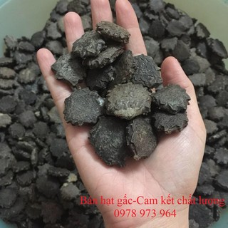 Hạt gấc khô
