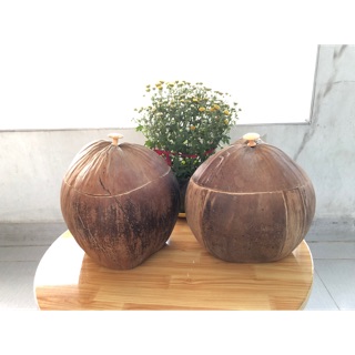 Vỏ ấm trà trái dừa nhà làm