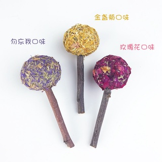 Que Cỏ Hoa cho Thỏ, Bọ và Chinchilla