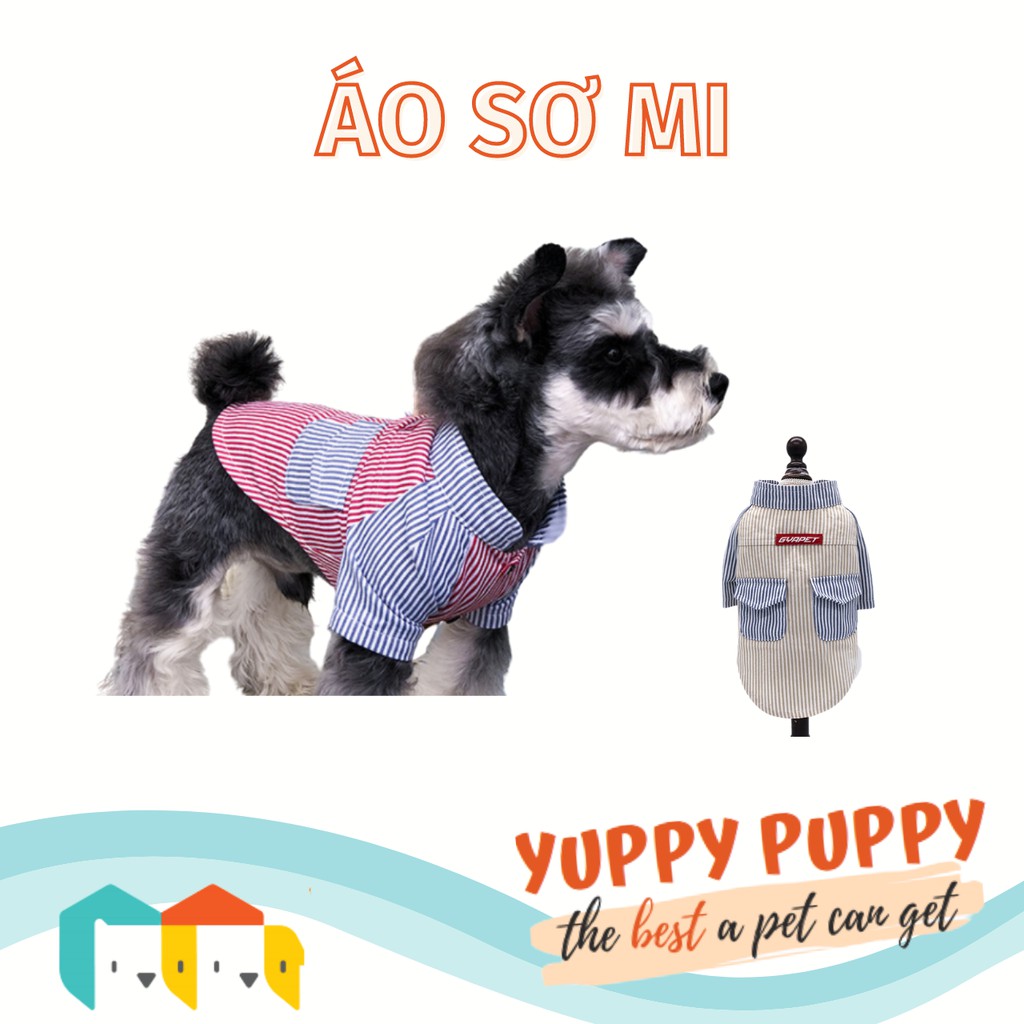 Gyapet Sơ áo mi kẻ sọc có túi cho chó mèo / Thú cưng