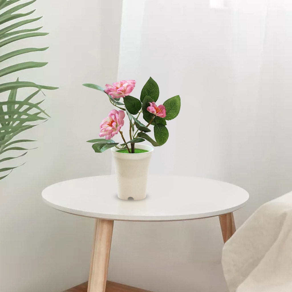 Chậu Hoa Lan Giả Dùng Trang Trí Nhà Cửa
