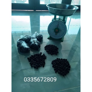 Hạt dổi rừng cây cổ thụ hơn 30 năm ( Gia vị tây Bắc )