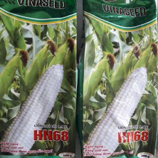 Lẻ 100gram Hạt giống ngô nếp lai HN68