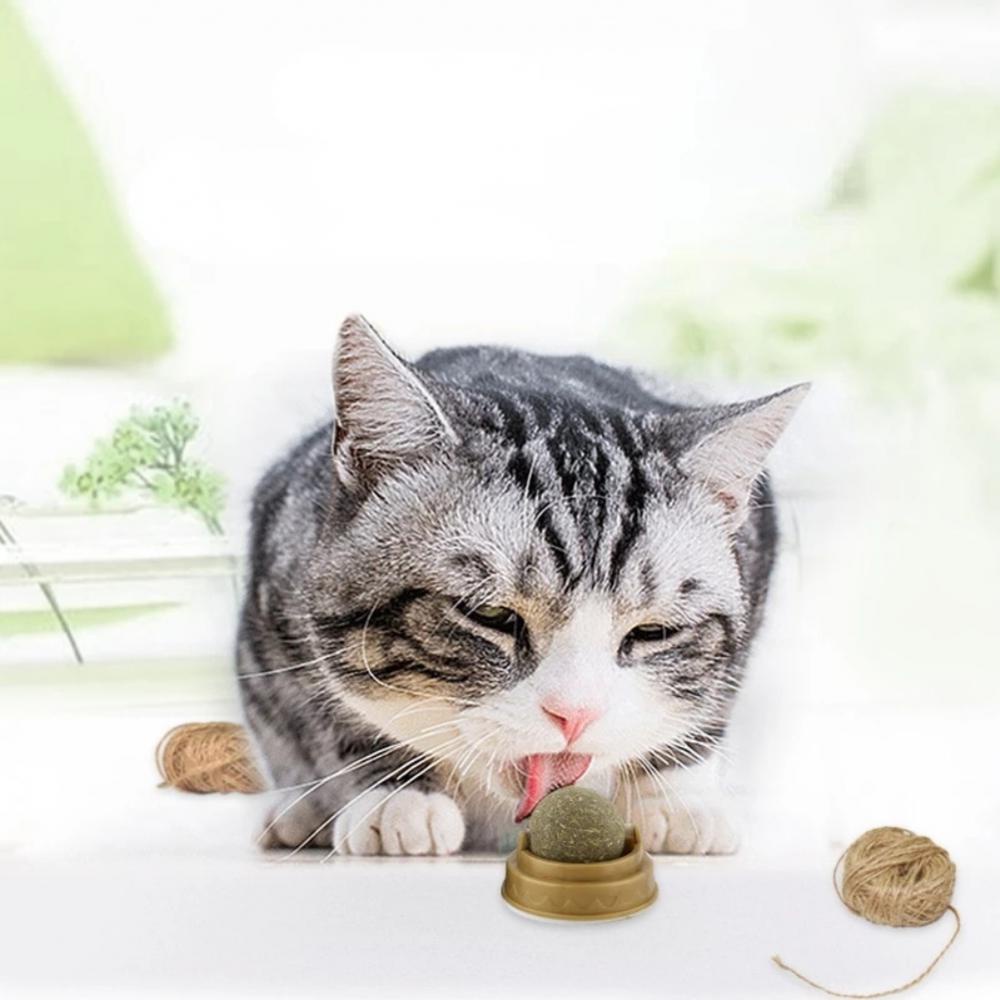 Bóng Catnip Bạc Hà Đồ Chơi Gắn Tường Kèm Hộp Đựng