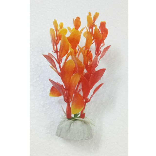 Cây Trang Trí Bể Cá hồ cá Size Mini (Khoảng 12cm x 5cm Mỗi Cây) - Đồ Trang Trí Hồ Cá