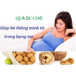 Óc chó nếp vàng [Nông Sản Tây Bắc]
