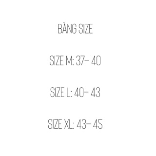 Combo 3 đôi tất Feetures xuất xịn