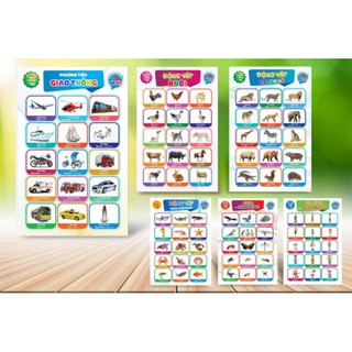 Bộ tranh treo tường cho bé song ngữ Anh Việt 15 chủ đề