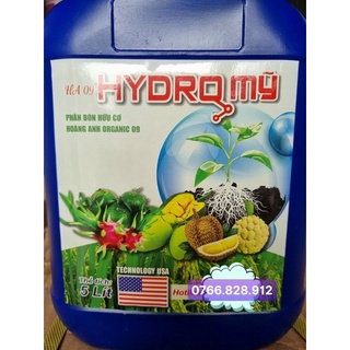 Hydro mỹ xanh