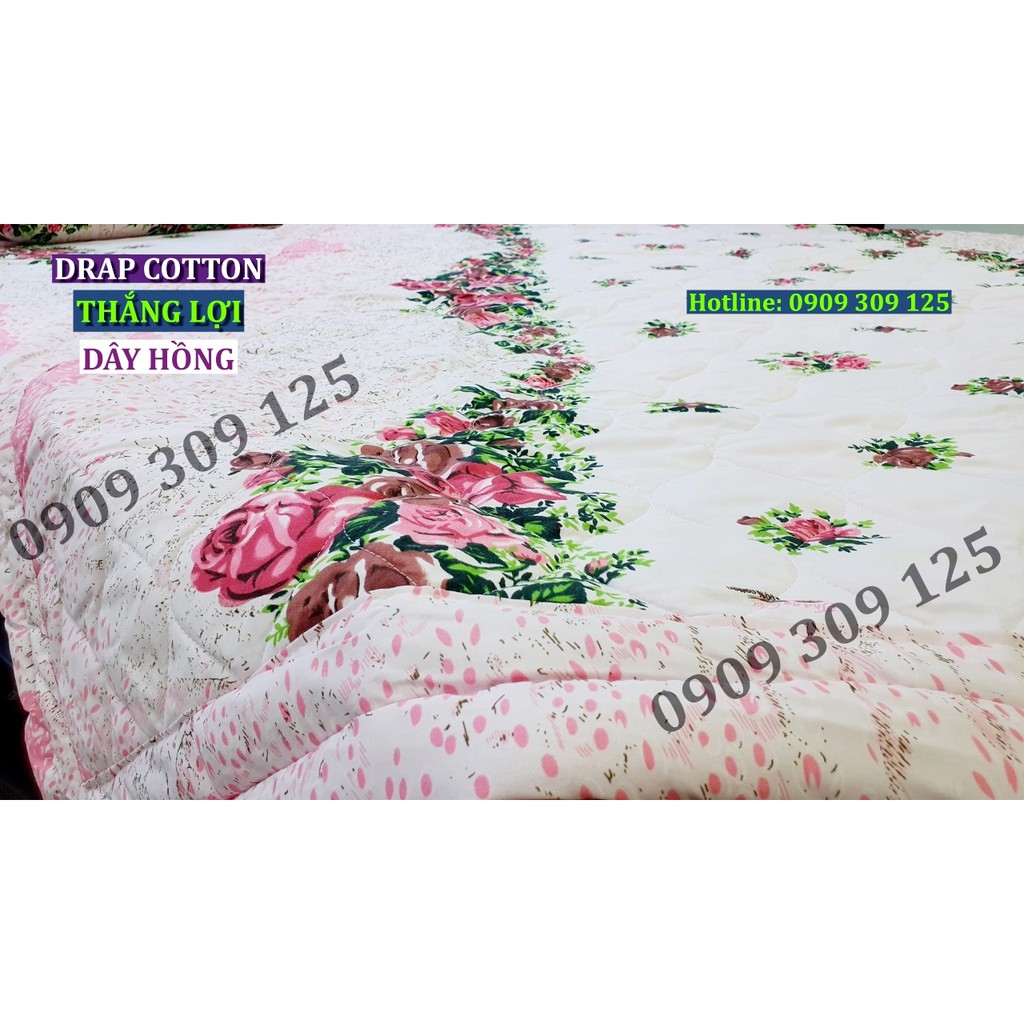 Chăn mền cotton Thắng lợi chính hãng mềm mát không xù lông
