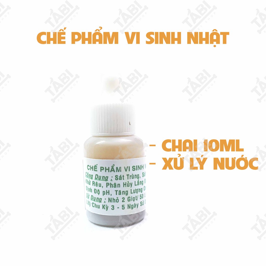 Chế Phẩm Vi Sinh Win Công Nghệ Nhật Bản 10ML - Chế Phẩm Vi Sinh Cao Cấp Cho Hồ Cá, Bể Cá Thuỷ Sinh [WIN]