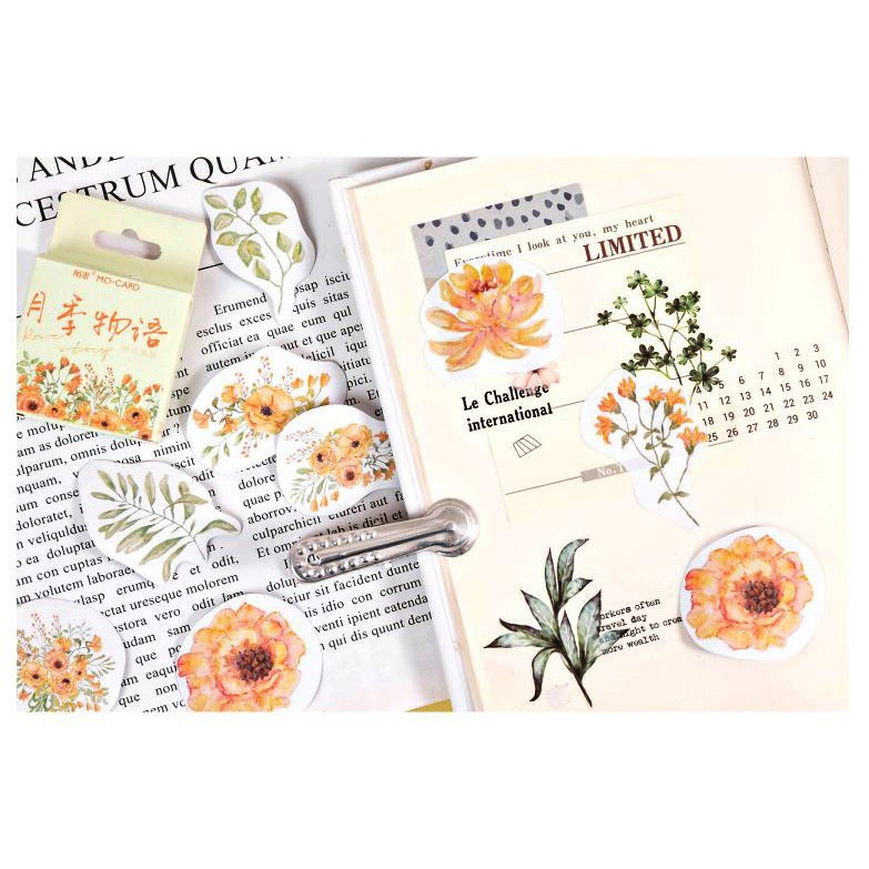 Bộ 46 Sticker Hoa Mùa Hạ E112