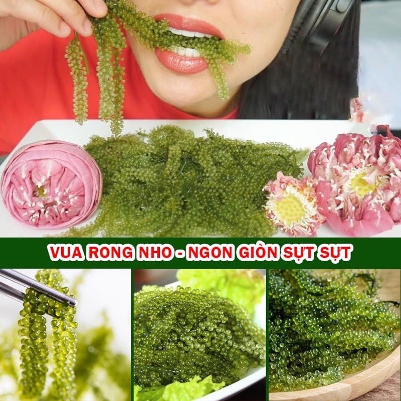 [ Hộp 240G/12 Gói ] Rong nho tách nước NFood Ogranic + Kèm mè rang 15ml