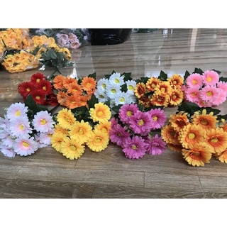Hoa giả - cúc vạn thọ