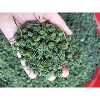 Nụ hoa tam thất, nụ hoa tam thất Hà Giang
