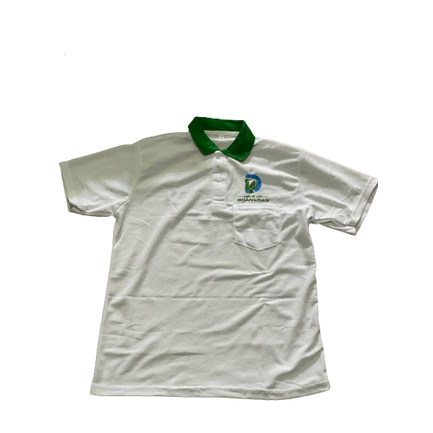Áo thun Polo Đoàn Loan