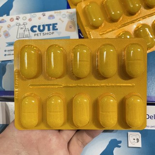  1 Viên Calci Delice bổ sung Canxi và khoáng chất thiết yếu cho chó mèo