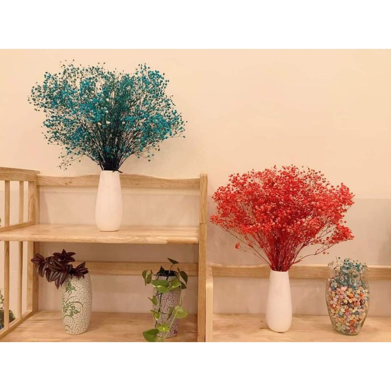 [MUA 1 TẶNG QUÀ] Bó 120gr Hoa baby khô decor trang trí nhà cửa, hoa trang trí decor nội thất siêu xinh