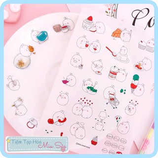 Sticker Molang mập ú cute dễ thương - MiuSua