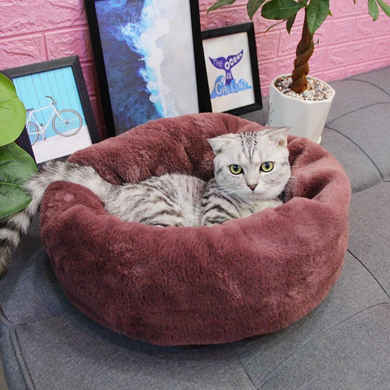 Ổ Nệm Cho Thú cưng