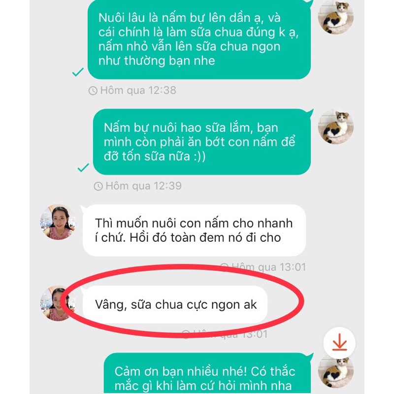 Nấm sữa Kefir-Bảo hành nếu nấm chết-Mua 6 bịch tặng rây nhựa | BigBuy360 - bigbuy360.vn