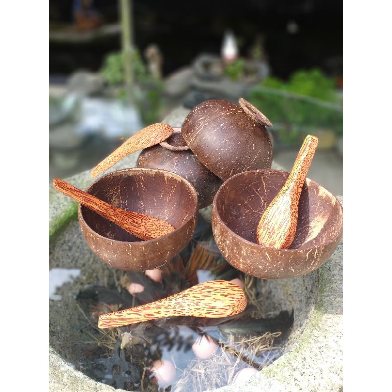 Combo 6 chén gáo dừa + 6 muỗng gỗ dừa