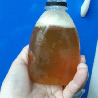 Combo 3chai mật ong hoa cafe 350ml