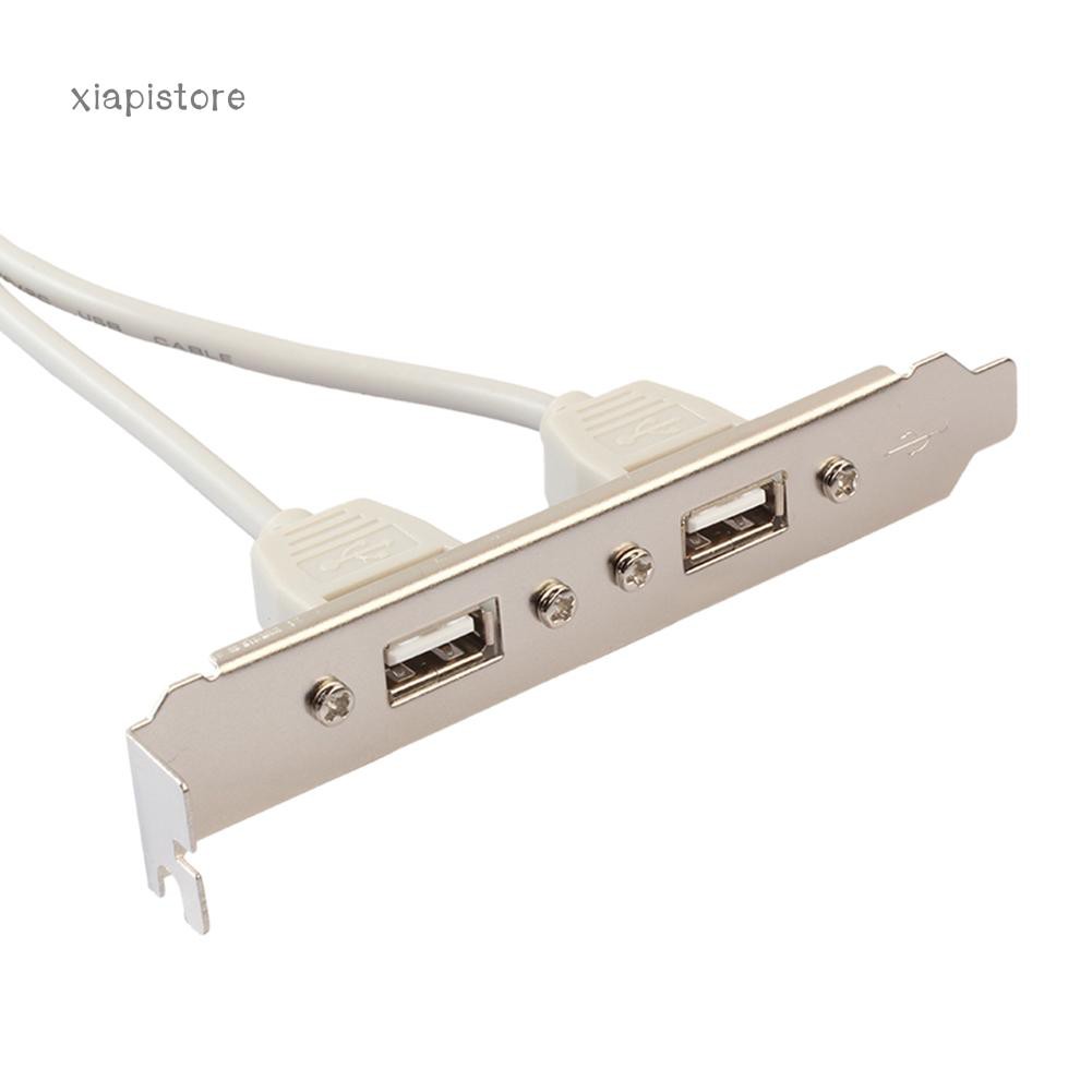 Dây cáp dài 30cm chuyển đổi giác cắm 9 pin sang 2 cổng USB 2.0 A